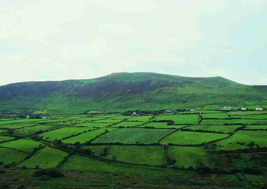 Ireland - BackArts ></a>
<script language=JavaScript> 
  var txt = 