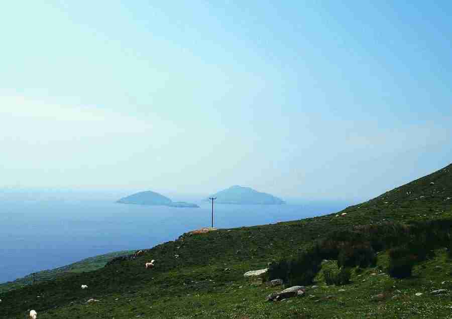 Ireland - BackArts ></a>
<script language=JavaScript> 
  var txt = 