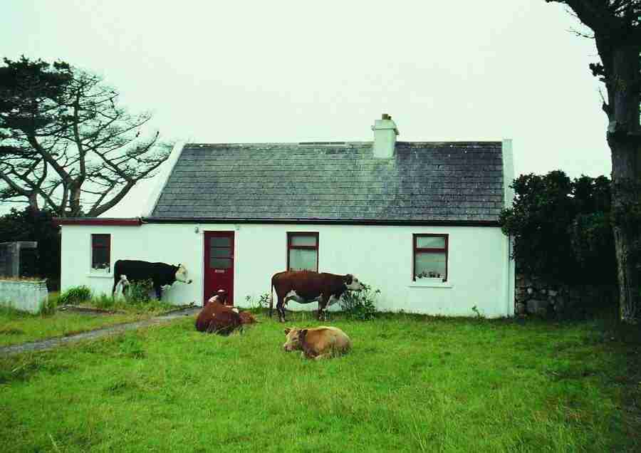 Ireland - BackArts ></a>
<script language=JavaScript> 
  var txt = 