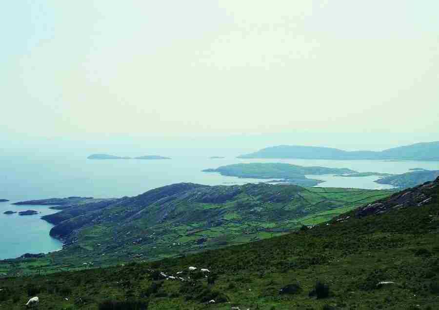 Ireland - BackArts ></a>
<script language=JavaScript> 
  var txt = 