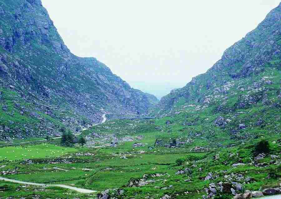 Ireland - BackArts ></a>
<script language=JavaScript> 
  var txt = 