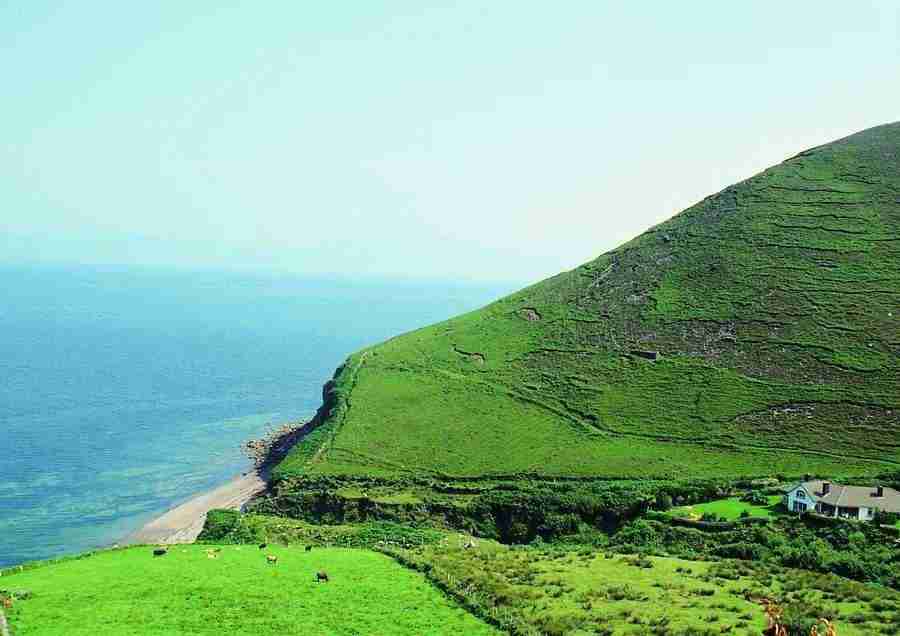 Ireland - BackArts ></a>
<script language=JavaScript> 
  var txt = 