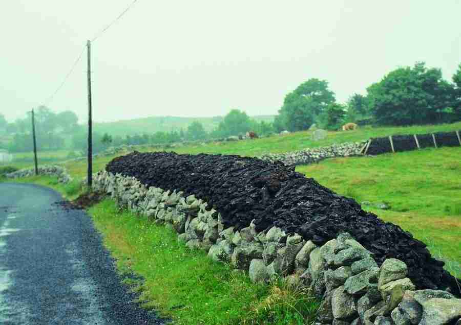 Ireland - BackArts ></a>
<script language=JavaScript> 
  var txt = 