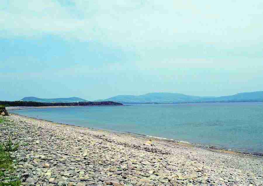 Ireland - BackArts ></a>
<script language=JavaScript> 
  var txt = 