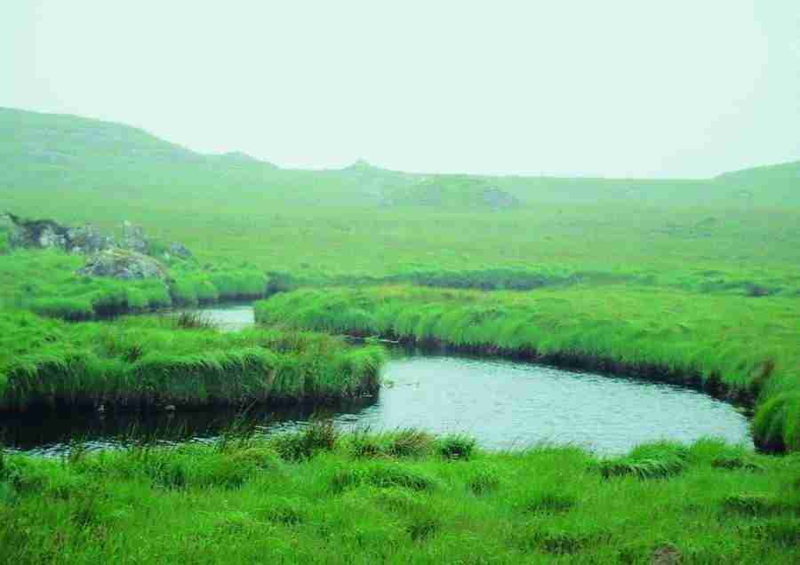 Ireland - BackArts ></a>
<script language=JavaScript> 
  var txt = 