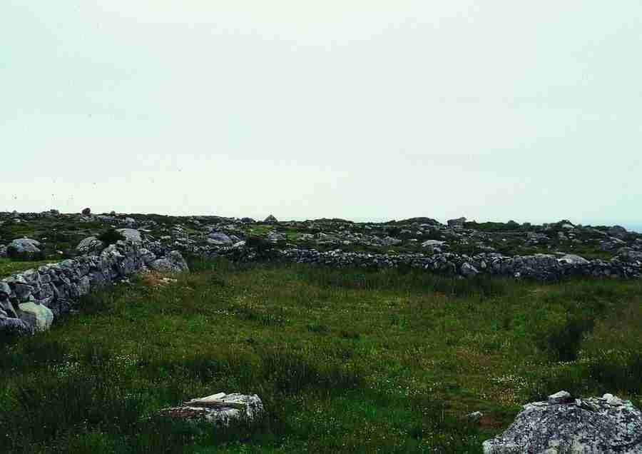 Ireland - BackArts ></a>
<script language=JavaScript> 
  var txt = 