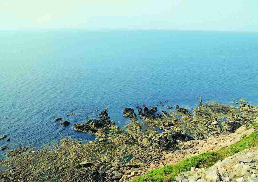 Ireland - BackArts ></a>
<script language=JavaScript> 
  var txt = 