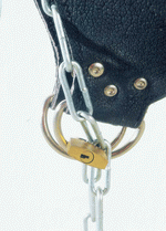 BackArts: Lacquer and Leather 