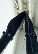 BackArts: Lacquer and Leather 