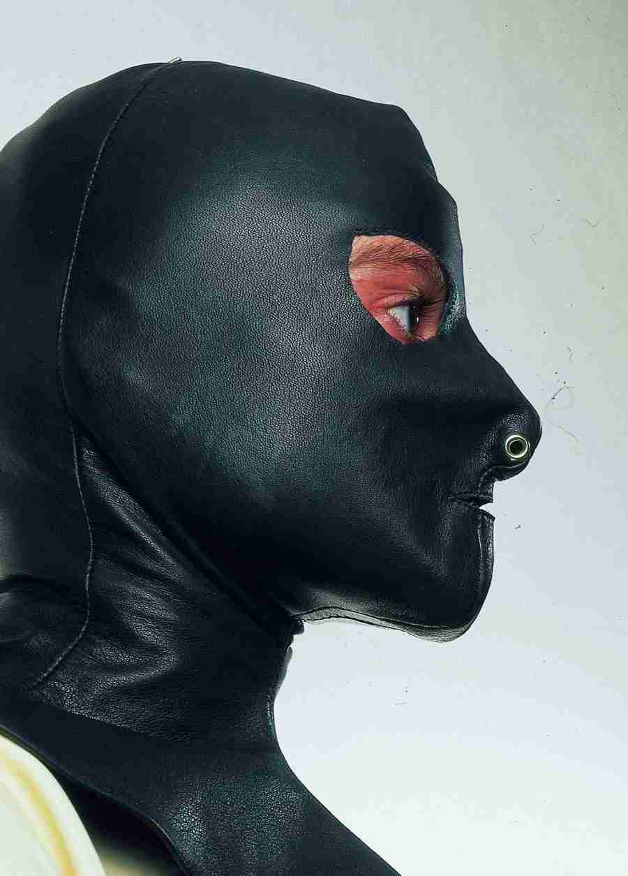 Lacquer and Leather - BackArts ></a>
<script language=JavaScript> 
  var txt = 