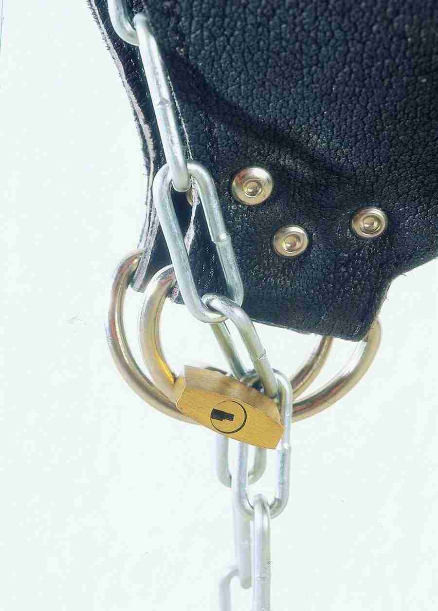 Lacquer and Leather - BackArts ></a>
<script language=JavaScript> 
  var txt = 