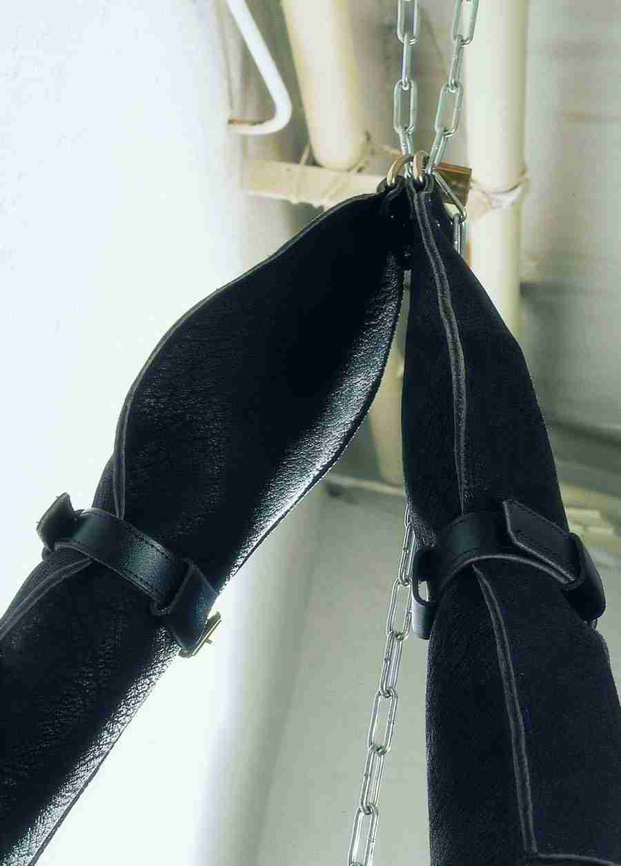 Lacquer and Leather - BackArts ></a>
<script language=JavaScript> 
  var txt = 