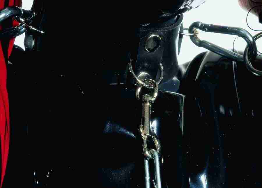 Lacquer and Leather - BackArts ></a>
<script language=JavaScript> 
  var txt = 