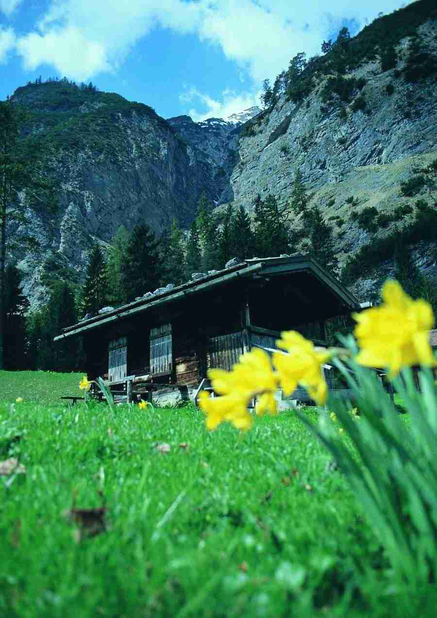 Mountains - BackArts ></a>
<script language=JavaScript> 
  var txt = 