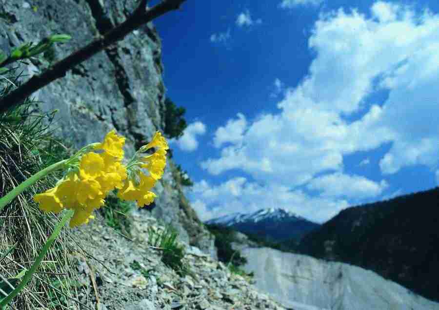 Mountains - BackArts ></a>
<script language=JavaScript> 
  var txt = 