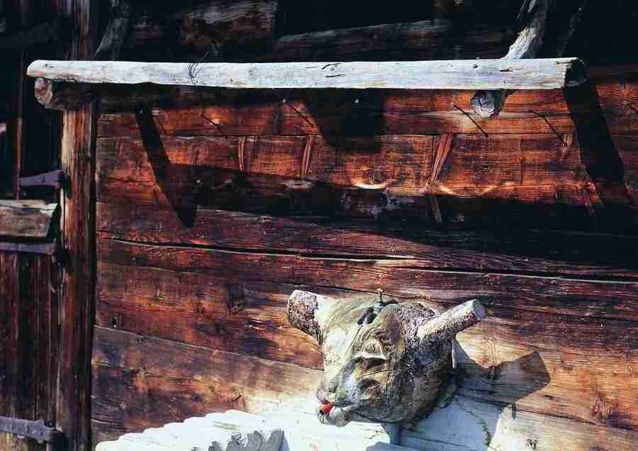 Mountains - BackArts ></a>
<script language=JavaScript> 
  var txt = 