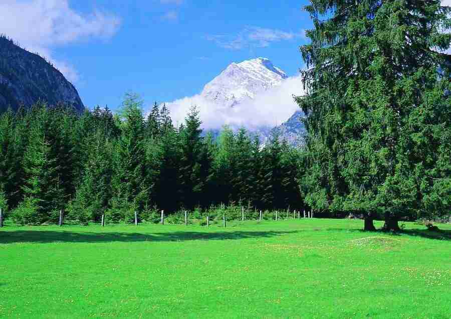 Mountains - BackArts ></a>
<script language=JavaScript> 
  var txt = 