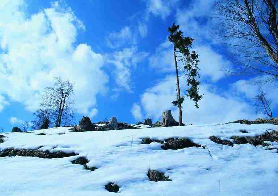 Mountains - BackArts ></a>
<script language=JavaScript> 
  var txt = 