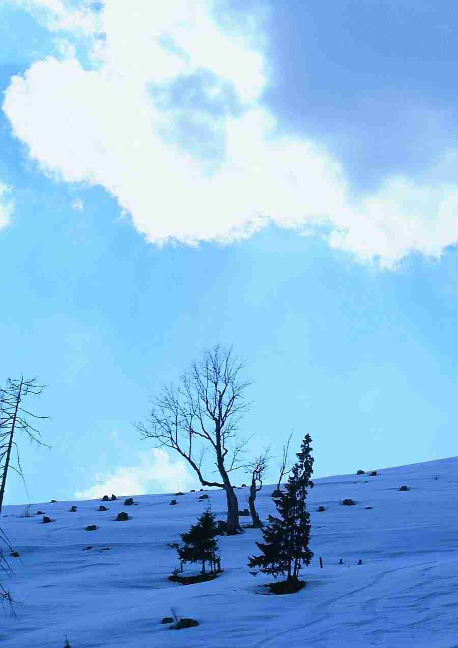 Mountains - BackArts ></a>
<script language=JavaScript> 
  var txt = 