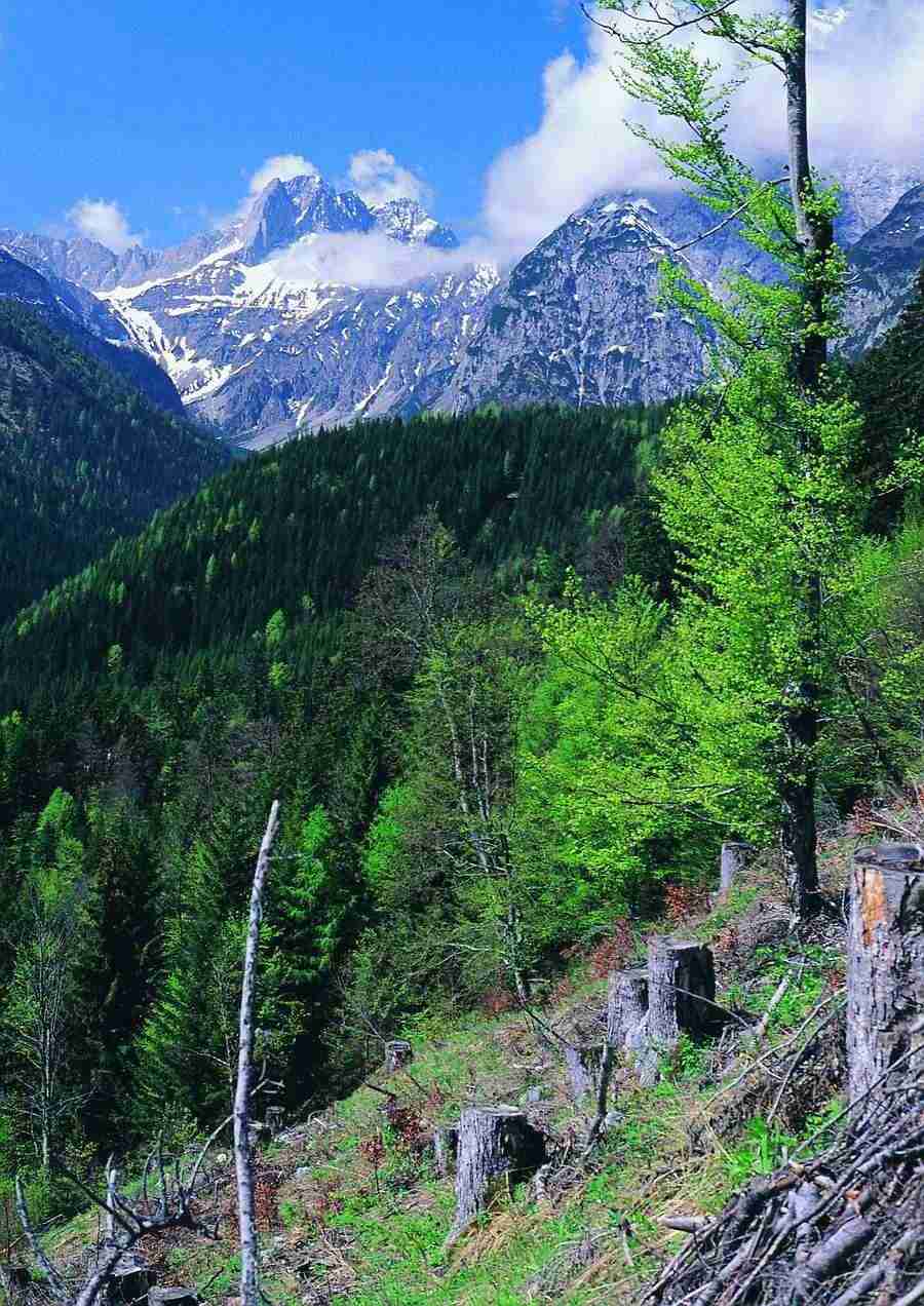 Mountains - BackArts ></a>
<script language=JavaScript> 
  var txt = 