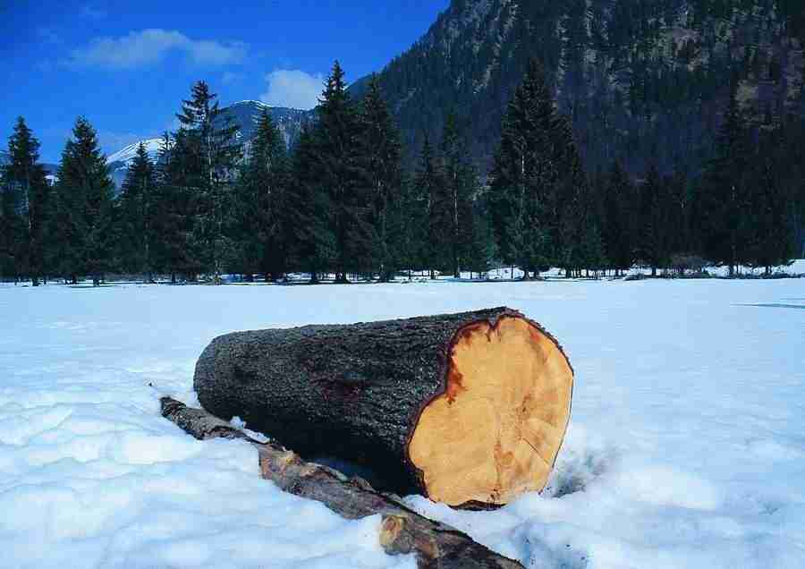 Mountains - BackArts ></a>
<script language=JavaScript> 
  var txt = 