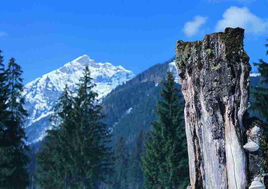 Mountains - BackArts ></a>
<script language=JavaScript> 
  var txt = 