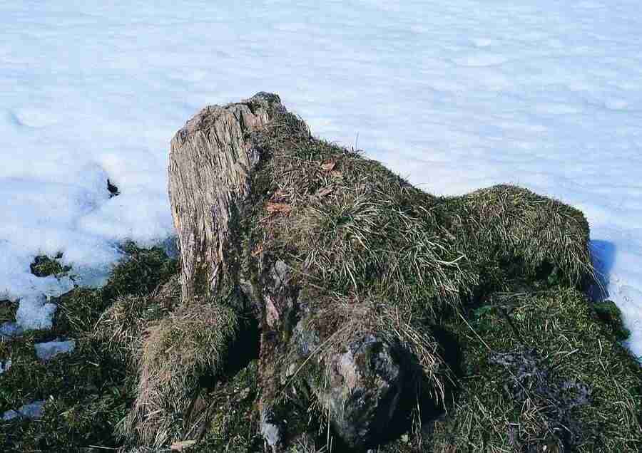 Mountains - BackArts ></a>
<script language=JavaScript> 
  var txt = 