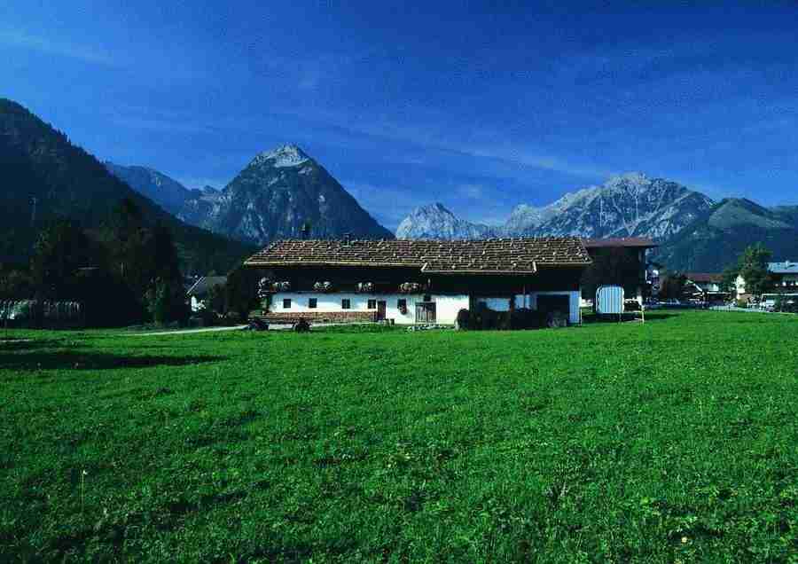 Mountains - BackArts ></a>
<script language=JavaScript> 
  var txt = 