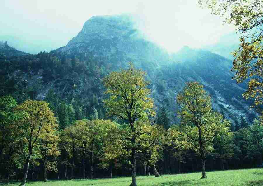 Mountains - BackArts ></a>
<script language=JavaScript> 
  var txt = 