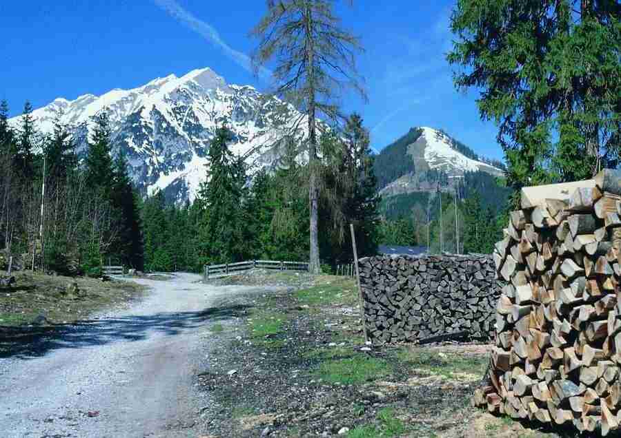 Mountains - BackArts ></a>
<script language=JavaScript> 
  var txt = 