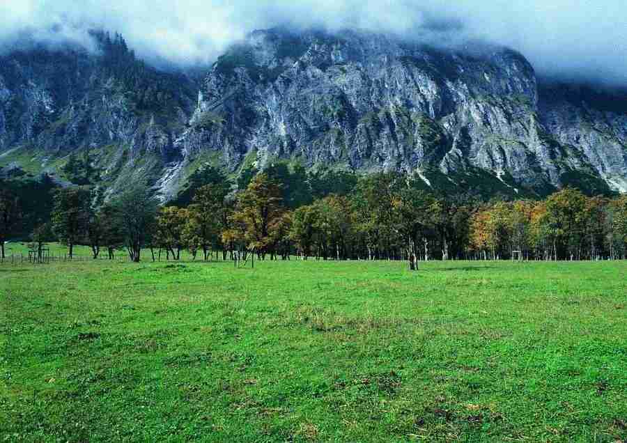 Mountains - BackArts ></a>
<script language=JavaScript> 
  var txt = 