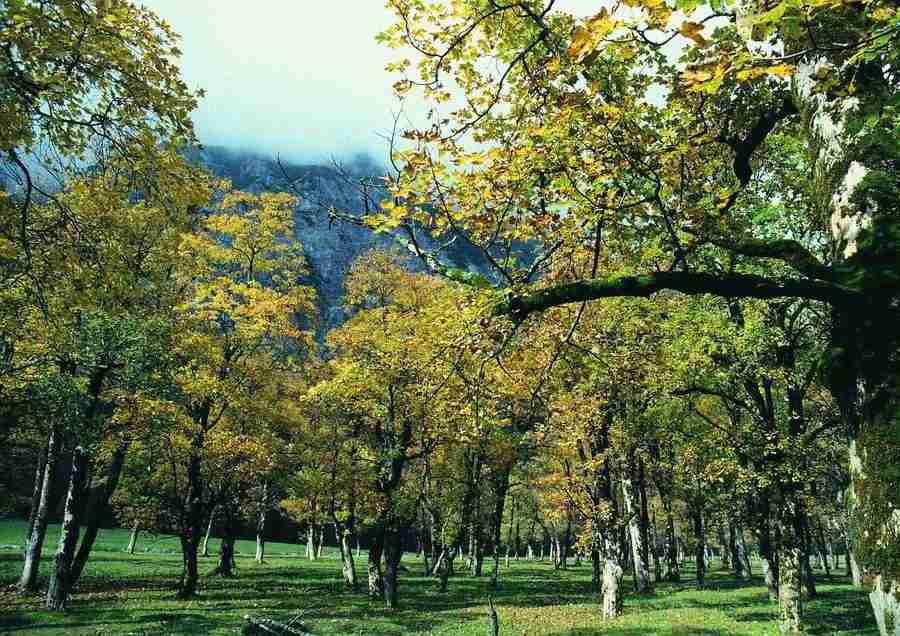 Mountains - BackArts ></a>
<script language=JavaScript> 
  var txt = 