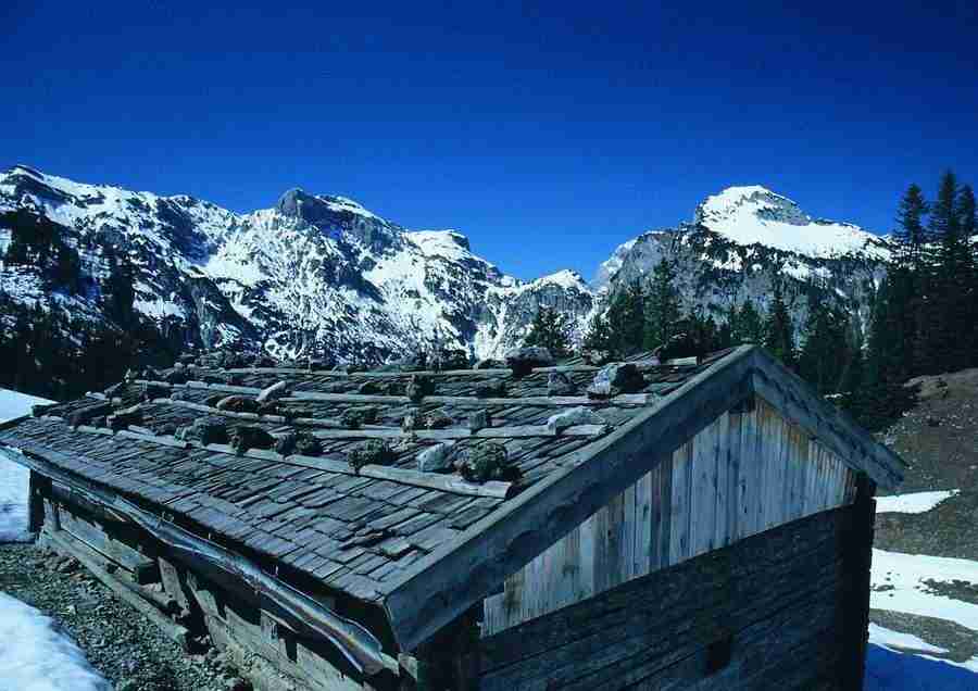 Mountains - BackArts ></a>
<script language=JavaScript> 
  var txt = 