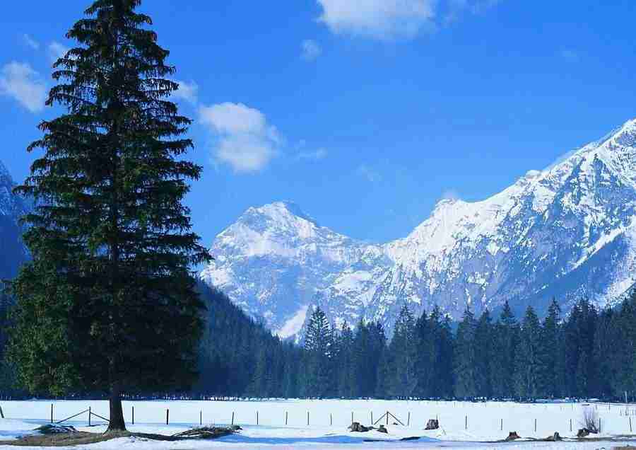 Mountains - BackArts ></a>
<script language=JavaScript> 
  var txt = 