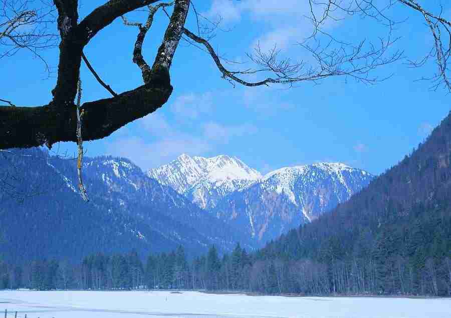 Mountains - BackArts ></a>
<script language=JavaScript> 
  var txt = 