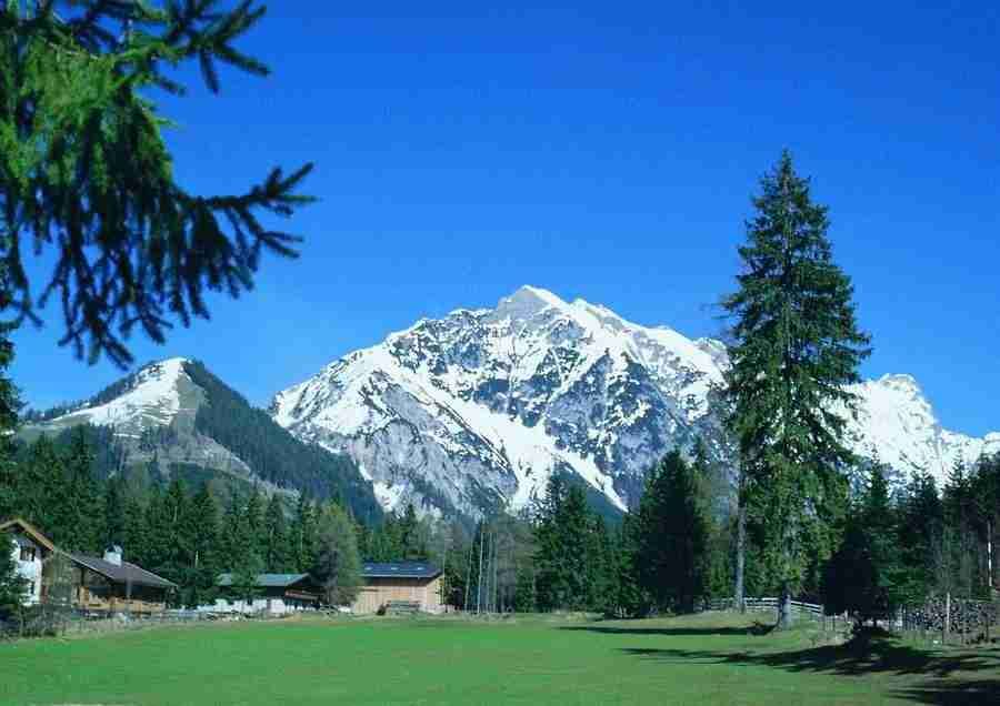 Mountains - BackArts ></a>
<script language=JavaScript> 
  var txt = 