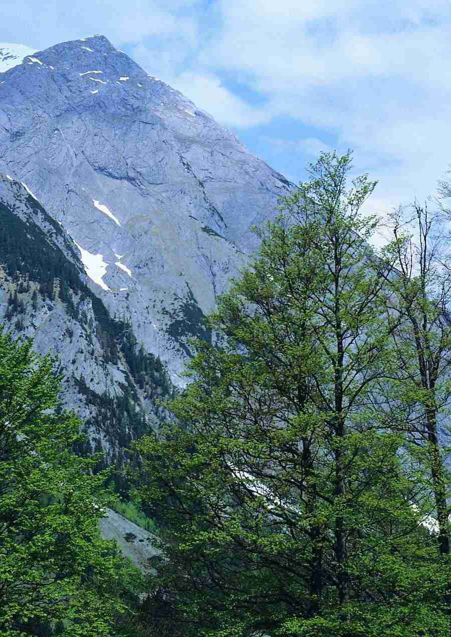 Mountains - BackArts ></a>
<script language=JavaScript> 
  var txt = 