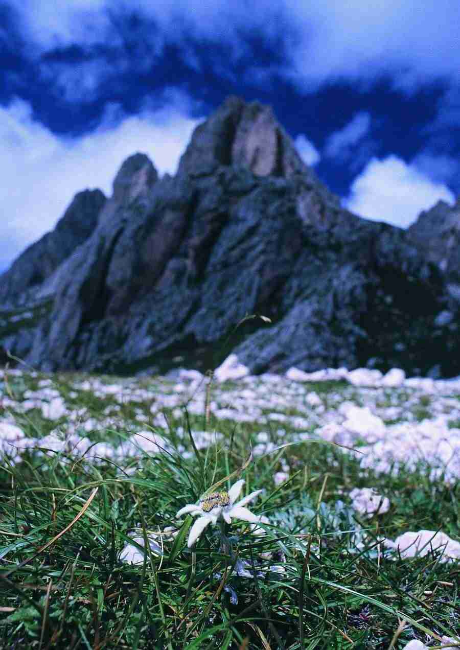 Mountains - BackArts ></a>
<script language=JavaScript> 
  var txt = 