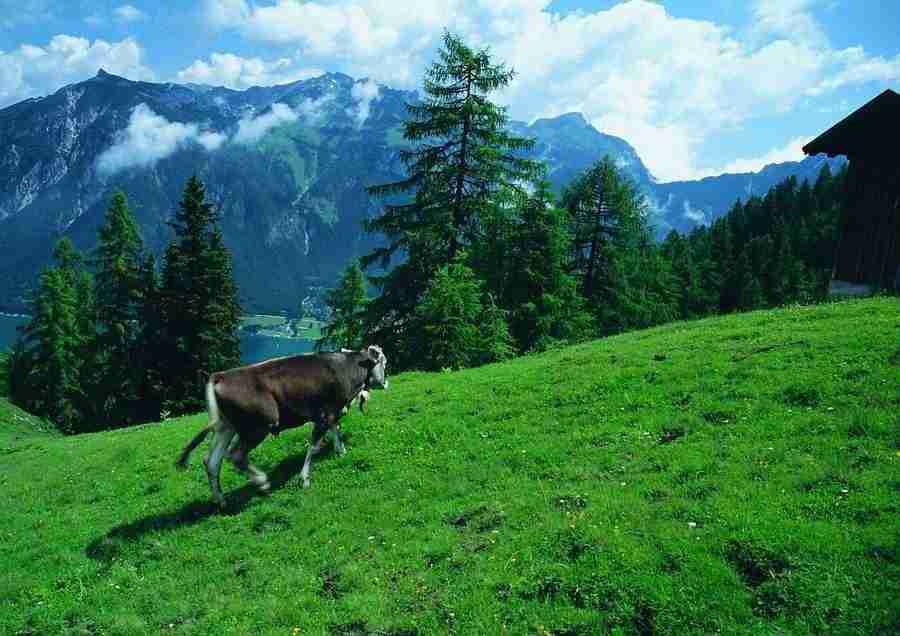 Mountains - BackArts ></a>
<script language=JavaScript> 
  var txt = 