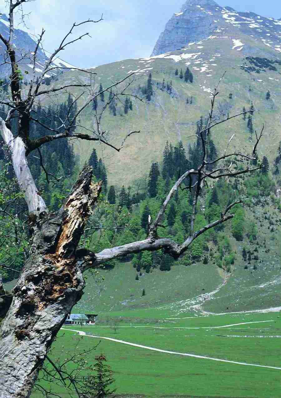 Mountains - BackArts ></a>
<script language=JavaScript> 
  var txt = 