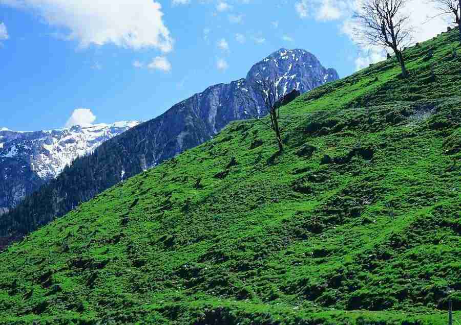 Mountains - BackArts ></a>
<script language=JavaScript> 
  var txt = 