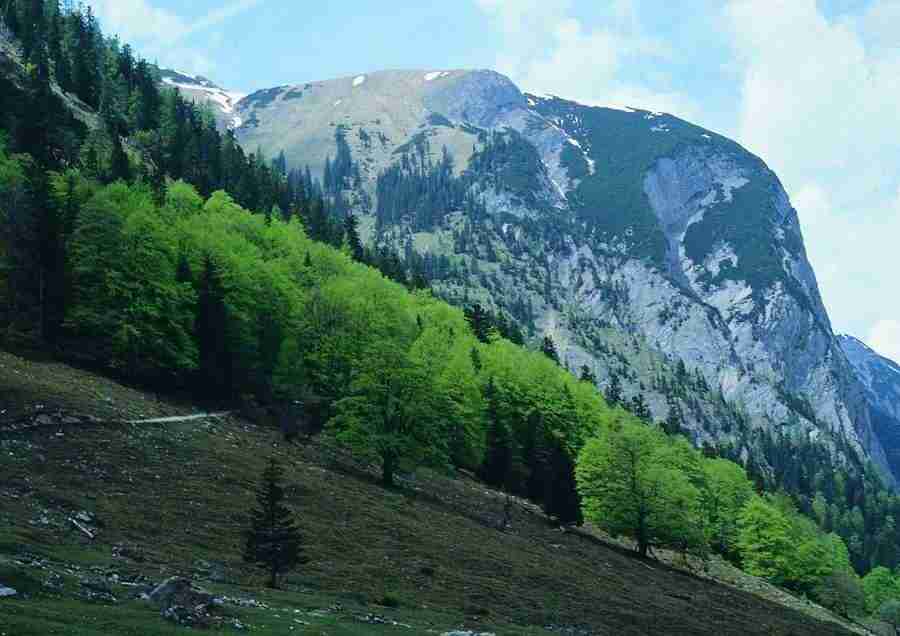 Mountains - BackArts ></a>
<script language=JavaScript> 
  var txt = 