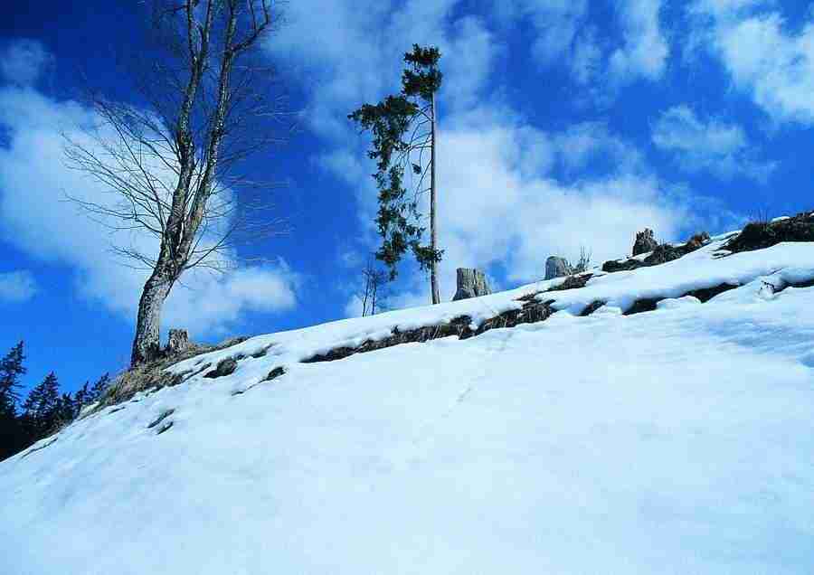 Mountains - BackArts ></a>
<script language=JavaScript> 
  var txt = 