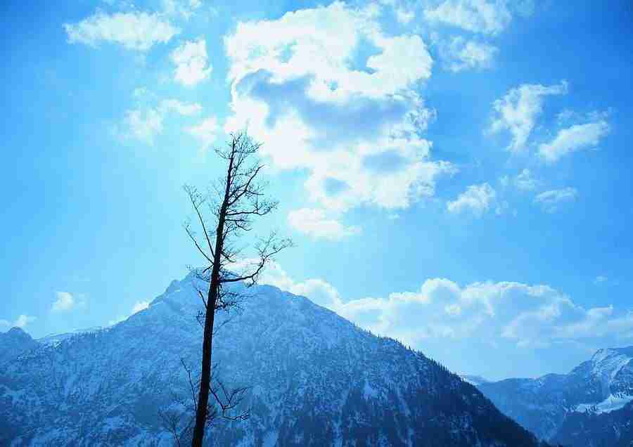 Mountains - BackArts ></a>
<script language=JavaScript> 
  var txt = 