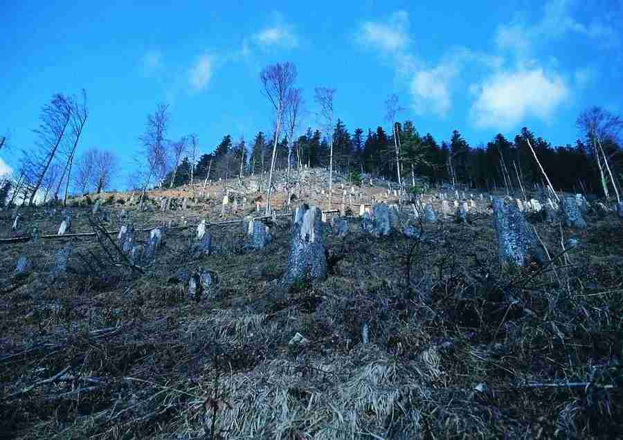 Mountains - BackArts ></a>
<script language=JavaScript> 
  var txt = 