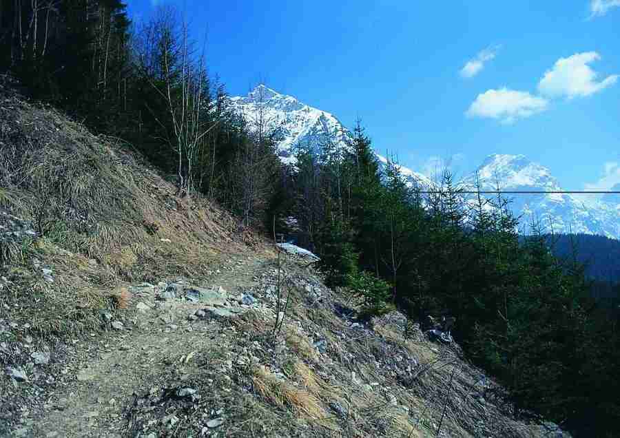 Mountains - BackArts ></a>
<script language=JavaScript> 
  var txt = 