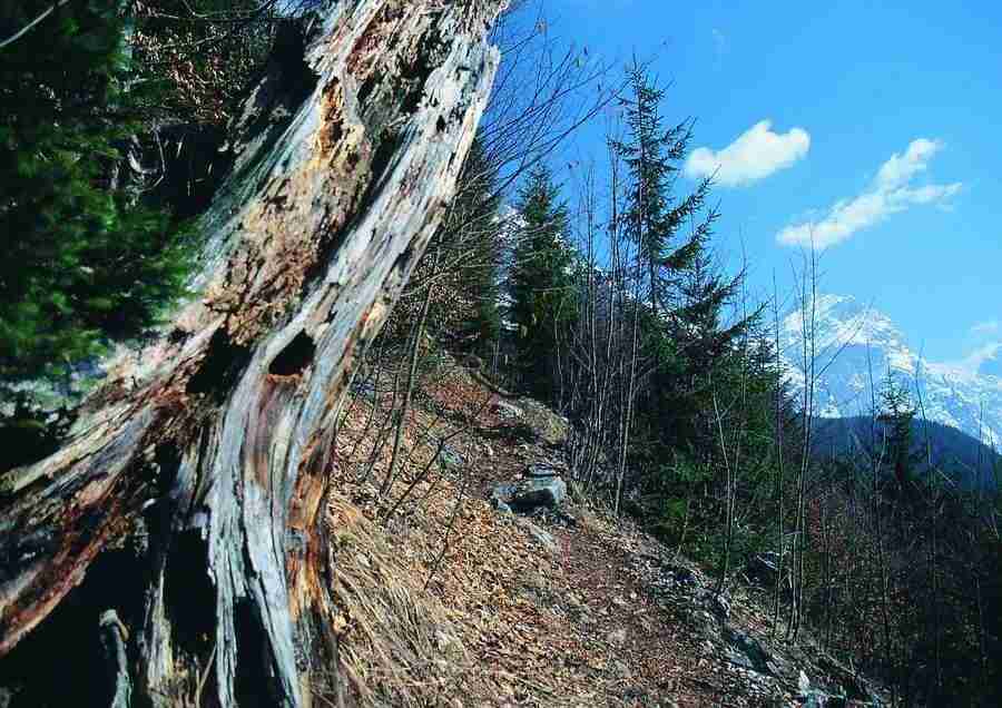 Mountains - BackArts ></a>
<script language=JavaScript> 
  var txt = 