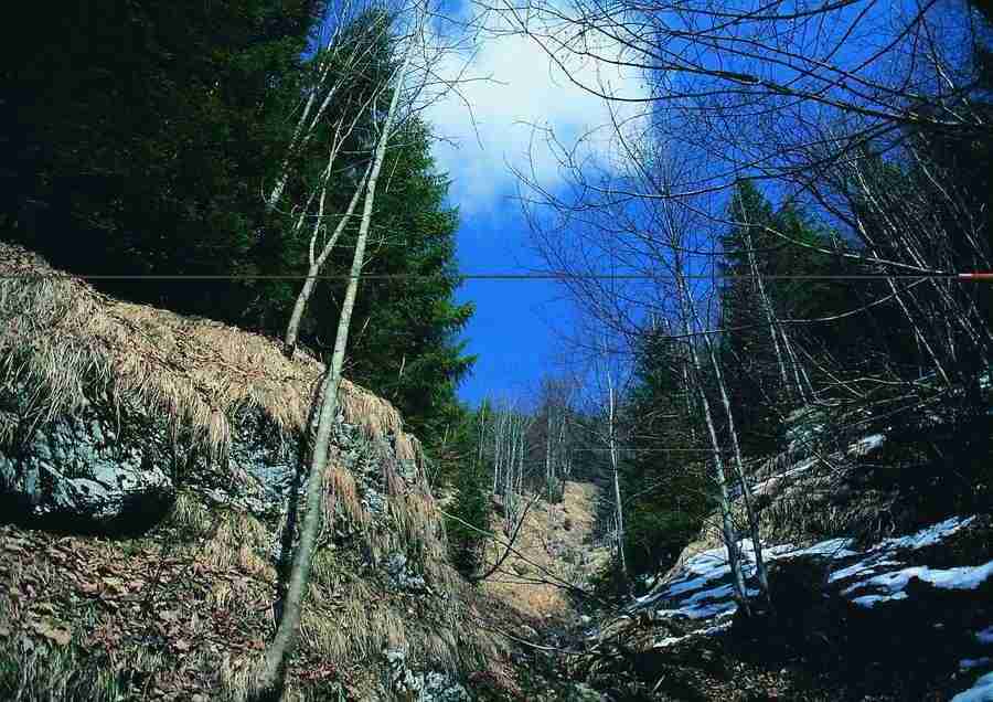 Mountains - BackArts ></a>
<script language=JavaScript> 
  var txt = 