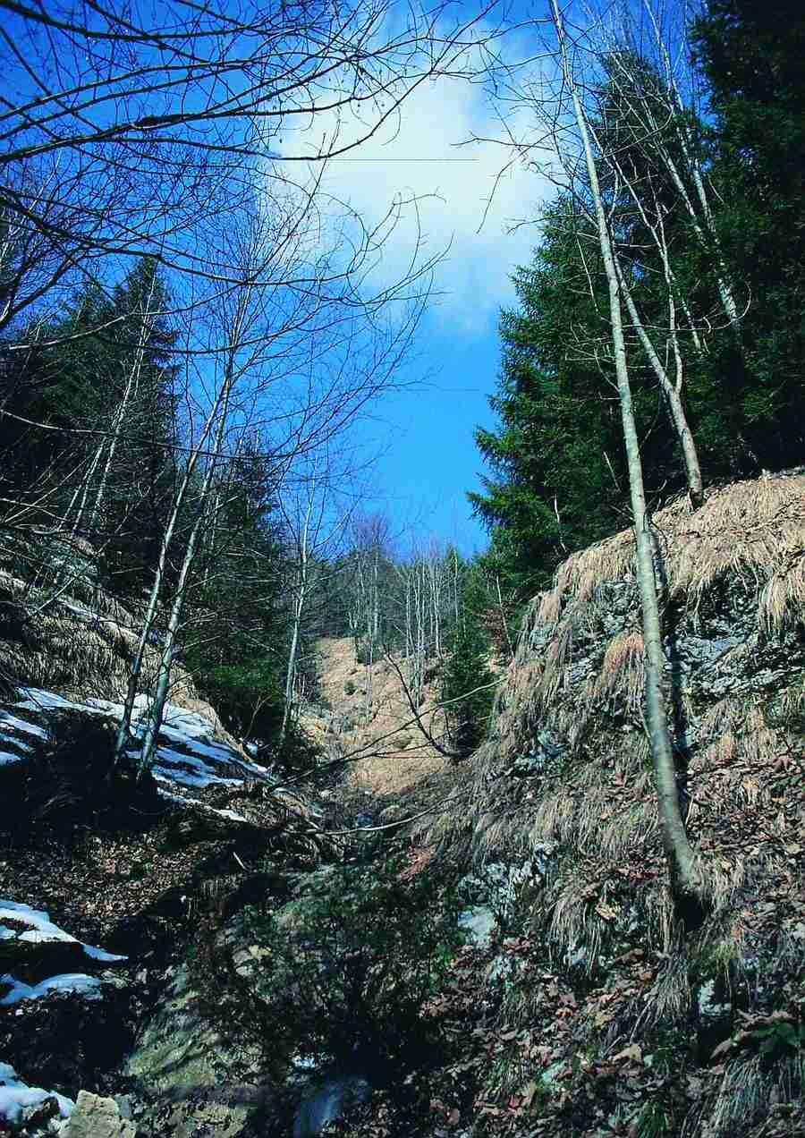 Mountains - BackArts ></a>
<script language=JavaScript> 
  var txt = 