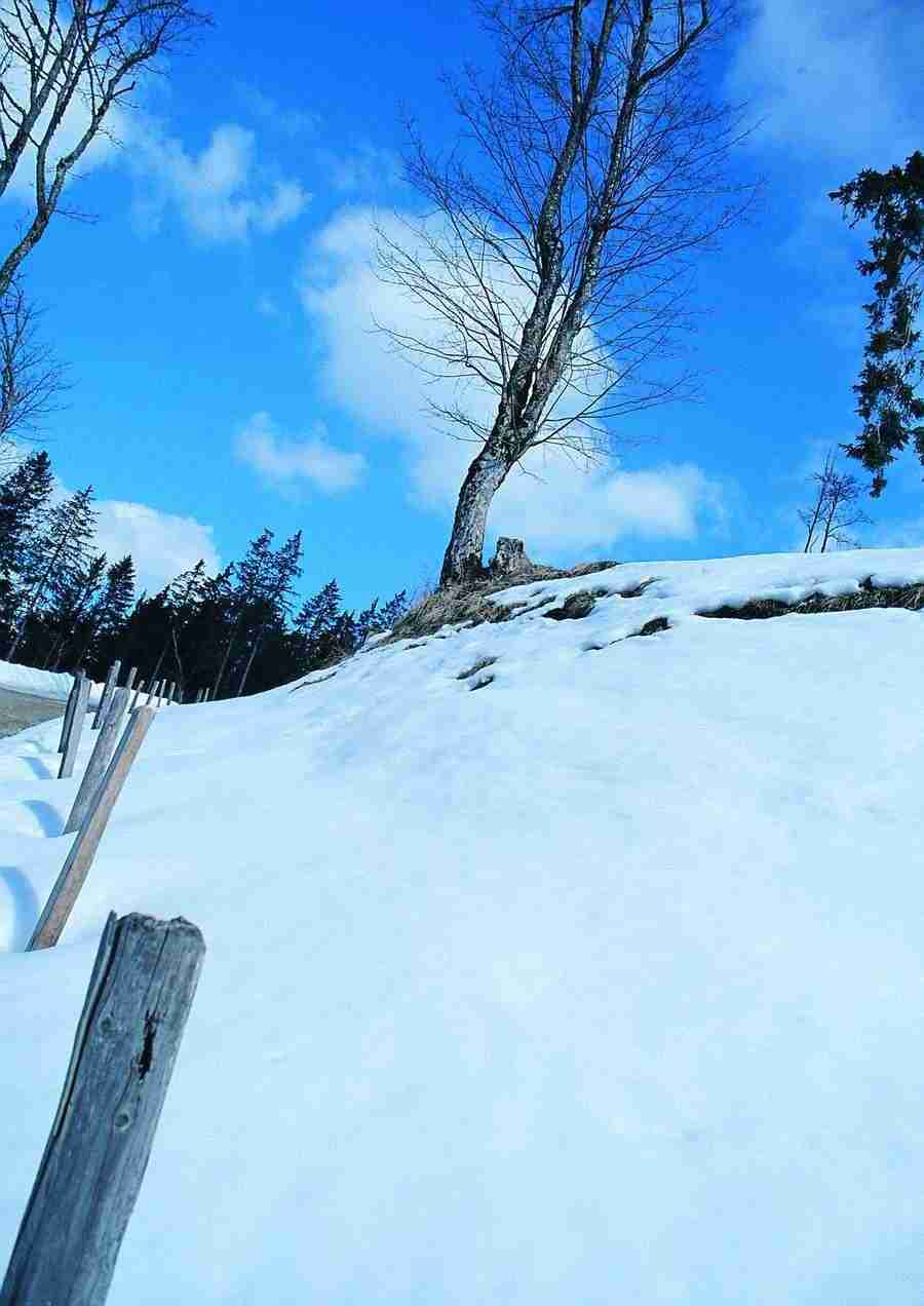 Mountains - BackArts ></a>
<script language=JavaScript> 
  var txt = 